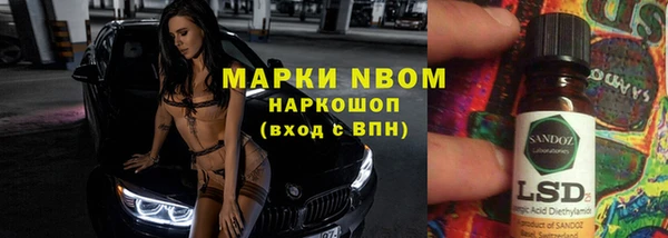 гашик Верея
