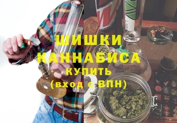 гашик Верея