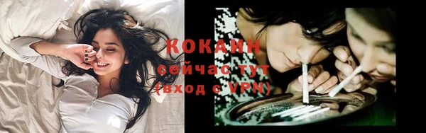 гашик Верея