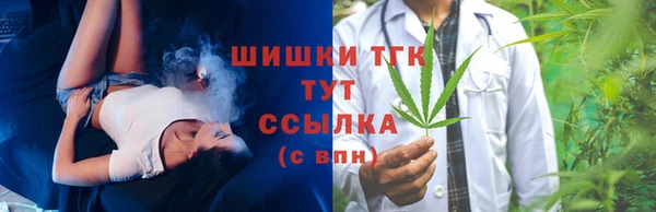 гашик Верея