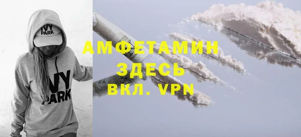 гашик Верея