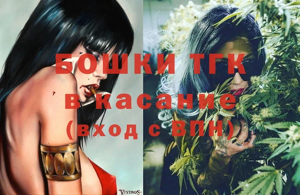 гашик Верея